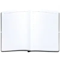 Ежедневник Flexpen Bright, недатированный, черный