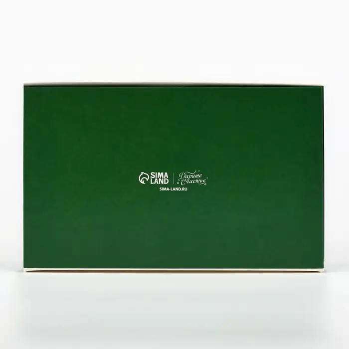 Коробка складная &laquo;Новогодняя ботаника&raquo;, 20 х 12 х 4 см