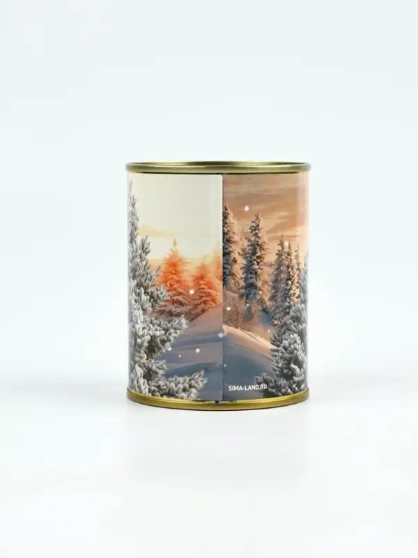 Копилка-банка металл &laquo;Зима подарит&raquo;, 7.5&times;9.5 см