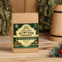 Набор ароматизаторов 2 шт по 100 мл "Мужской подарок", кедр, эвкалипт