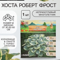 Хоста &laquo;Роберт Фрост&raquo;, корневище в пакете с торфогрунтом, р-р I, 1 шт.