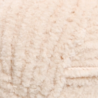 Пряжа "Softy Plus" 100% микрополиэстер 120м/100г  (310 шампань)