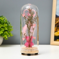 Ночник колба "Мишка" LED от батареек 3хLR44 МИКС 7х7х18,5 см RISALUX