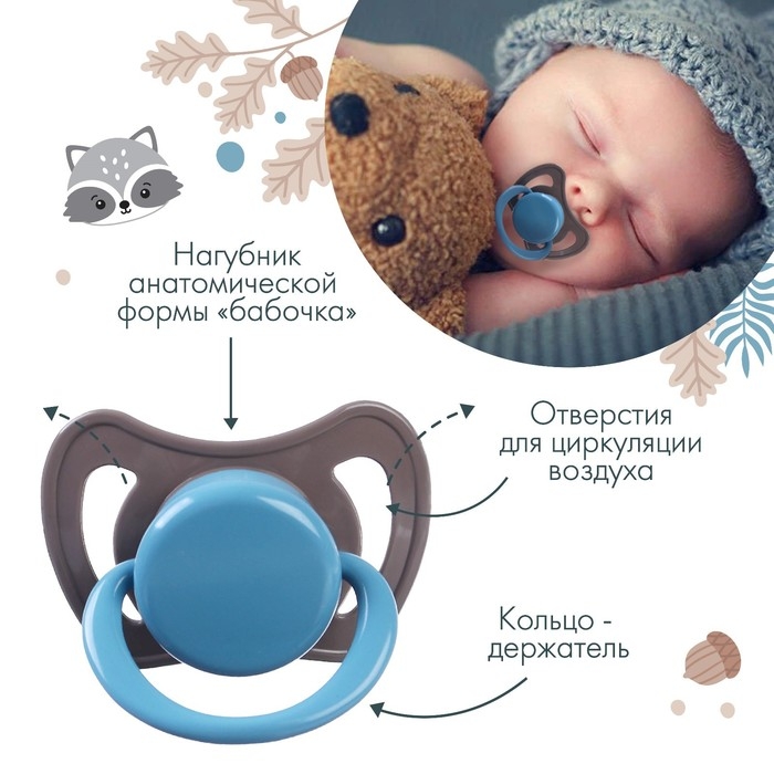 Соска - пустышка латексная ортодонтическая &laquo;Малыш&raquo;, от 6 мес., цвет коричневый/синий