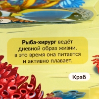 3D энциклопедия-панорамка &laquo;Море&raquo;