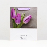 Пакет ламинированный, 26 x 32 x 12 см