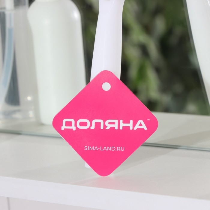 Водосгон силиконовый Доляна &laquo;Помощник&raquo;, 25&times;21 см, цвет МИКС