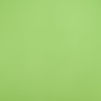 Пленка матовая, неоновые цвета, зелёная, 57см*10м  (+ -) 1 см