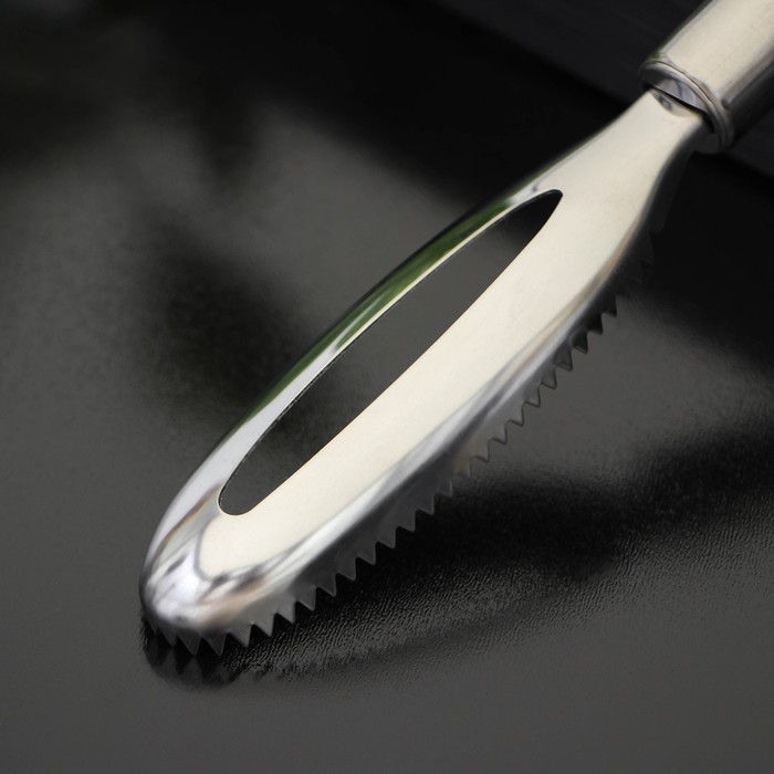 Рыбочистка Доляна &laquo;Металлик&raquo;, 16,5 см, цвет серебристый