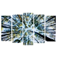 Картина модульная на подрамнике "Величие неба" 125х80 см (1-25х80; 2-25х70; 2-25х63)