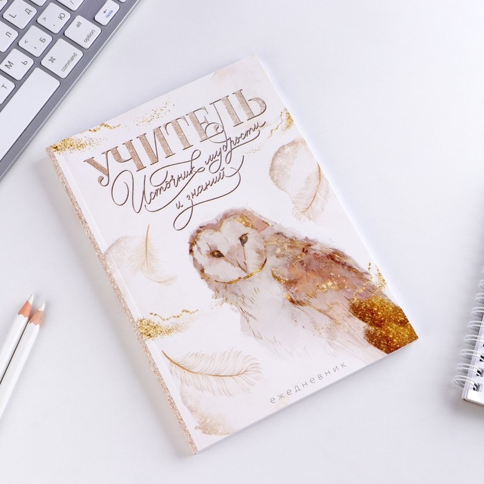 Подарочный набор &laquo;Золотой учитель&raquo;: ежедневник А5, 80 листов, стикеры и ручка шариковая, синяя паста