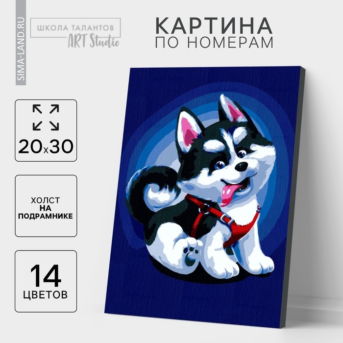 Картина по номерам на холсте с подрамником «Щенок хаски», 30х20 см Картина по номерам на холсте с подрамником «Щенок хаски», 30х20 см