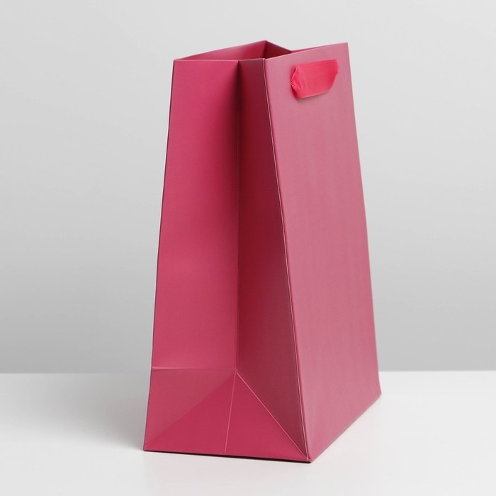 Пакет подарочный ламинированный, упаковка, &laquo;Фуксия&raquo;, MS 18 х 23 х 10 см