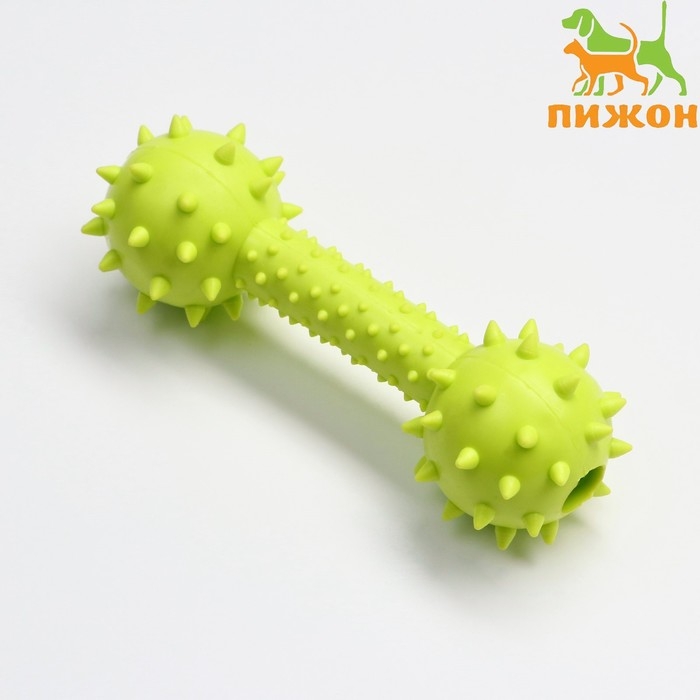 Игрушка жевательная Игрушка жевательная "Грозная гантель", 15 х 5 см, салатовая