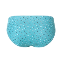 Трусы женские слипы &laquo;Цветы&raquo;, цвет зелёный, размер 46/M