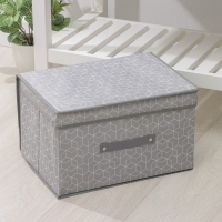 Короб стеллажный для хранения с крышкой Доляна &laquo;Фора&raquo;, 40&times;30&times;25 см, цвет серый