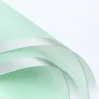 Пленка для цветов, &laquo;Серебряный кант&raquo;, зелёный пастельный, 57&times;57&plusmn;1 см