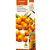 Саженец Облепиха &laquo;Елизавета &raquo;, плодовый, 1 шт., туба