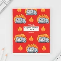 Тетрадь в клетку, 48 л., А5, на скрепке, блок №1 &laquo;Котики приколы&raquo; МИКС