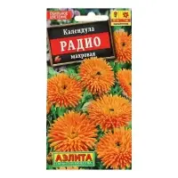 Семена  Календула Радио махровая, 0,5 г