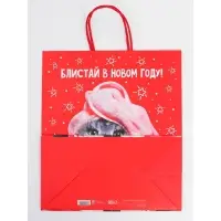 Набор новогодних крафтовых пакетов &laquo;С Новым годом тебя!&raquo;