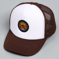 Кепка детская для мальчика Wild west, цвет коричневый, р-р 52-54, 5-7 лет