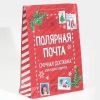 Пакет подарочный новогодний ламинированный &laquo;Полярная почта&raquo;, L 28 х 38 х 9 см