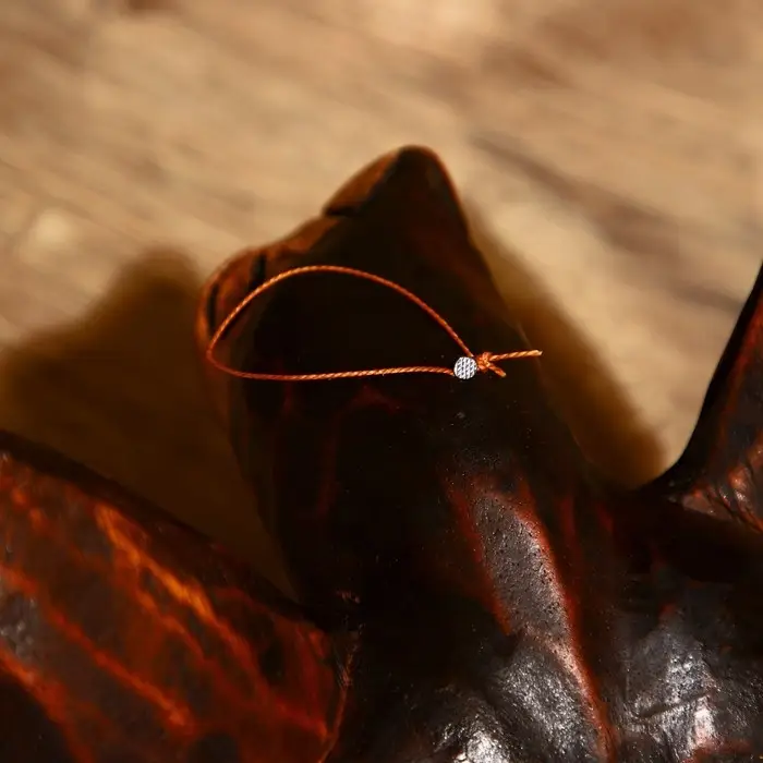 Сувенир "Черепаха" албезия 30х20х6 см