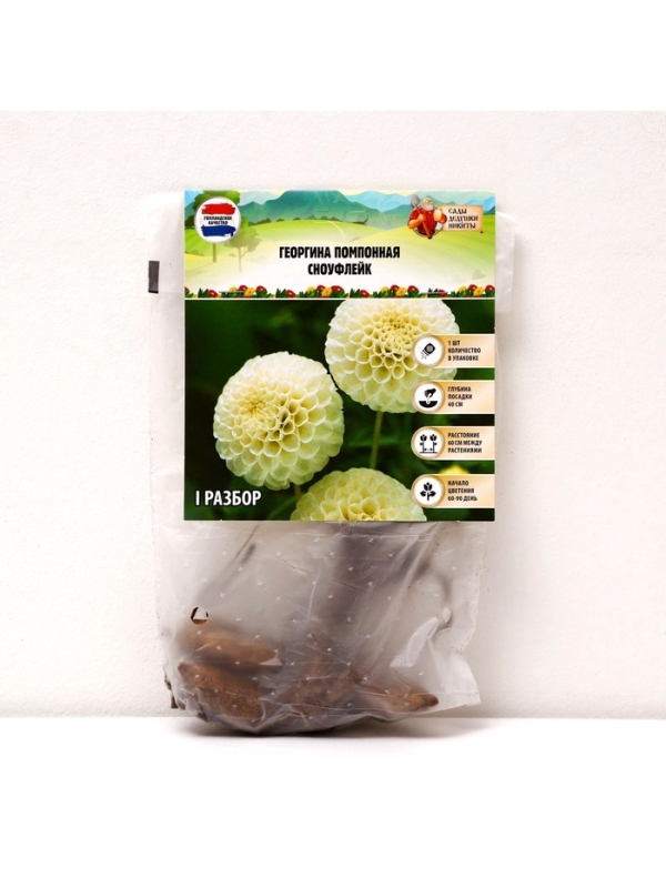 Георгина Помпонная &laquo;Сноуфлейк&raquo;, клубелуковица в упаковке, р-р см, I, 1 шт.