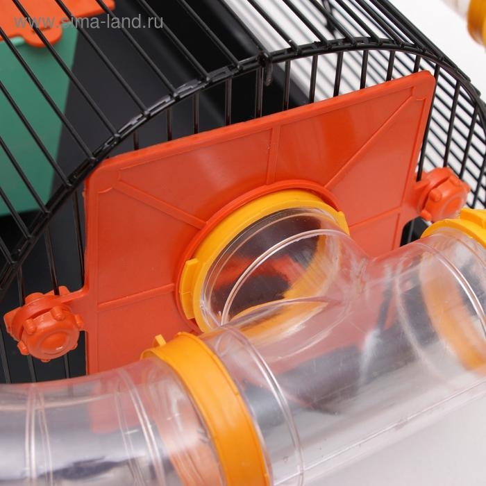 Клетка для грызунов Клетка для грызунов "Саквояж", малая, с лабиринтом, 40 х 25 х 21 см, микс цветов