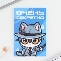 Подарочный набор волшебная ручка и блокнот «Очень секретно» Подарочный набор волшебная ручка и блокнот «Очень секретно»