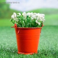 Кашпо "Ведерко Томми" красное, 6х6см Кашпо "Ведерко Томми" красное, 6х6см