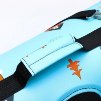 Сумка - переноска для животных "Путешественник", голубая, размер L, 53 х 21 х 29 см Сумка - переноска для животных "Путешественник", голубая, размер L, 53 х 21 х 29 см