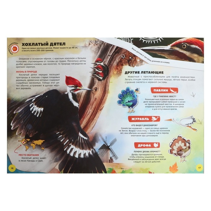 Энциклопедия 4D в дополненной реальности «Знакомство с животными» Энциклопедия 4D в дополненной реальности «Знакомство с животными»