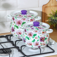 Набор кастрюль «Анютины глазки», 2 предмета: 4 л, 5.5 л, индукция Набор кастрюль «Анютины глазки», 2 предмета: 4 л, 5.5 л, индукция