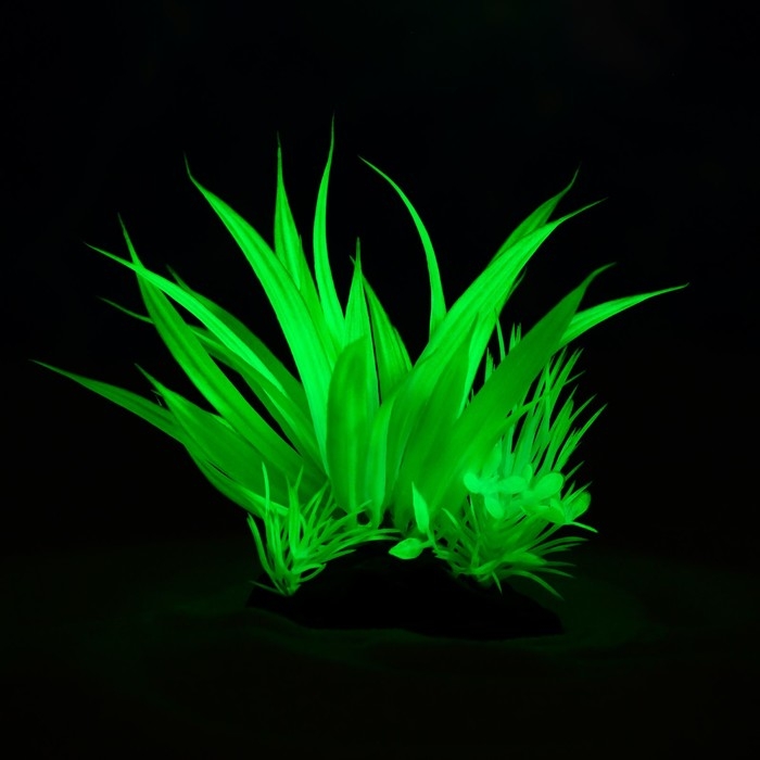 Растение искусственное аквариумное, светящееся, 10 см, зелёное Растение искусственное аквариумное, светящееся, 10 см, зелёное