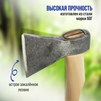 Топор кованый ТУНДРА, деревянное топорище Б2, покрыто морилкой "Орех", 800 г