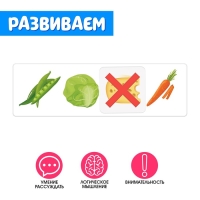 Развивающий набор &laquo;Логические ряды. Найди лишнее&raquo;, 3 уровень