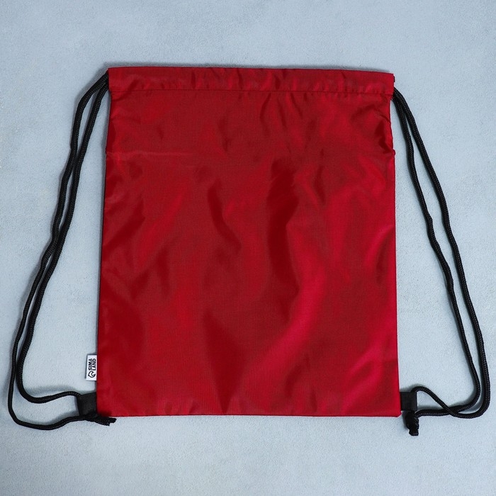 Мешок для обуви &laquo;Кеды&raquo; 2 секции, 30 х 40 см