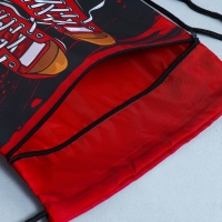 Мешок для обуви &laquo;Кеды&raquo; 2 секции, 30 х 40 см