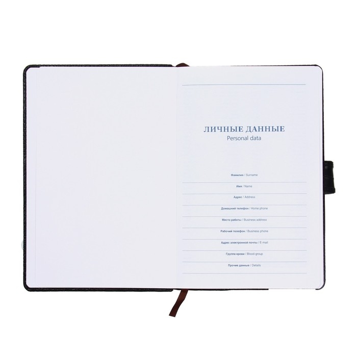 Ежедневник недатированный, обложка ПВХ, формат А5, 140 листов в клетку, на кнопке, рептилия, МИКС