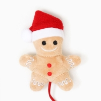 Игрушка-дразнилка для кошек "Пряник в колпаке", с бубенчиком Игрушка-дразнилка для кошек "Пряник в колпаке", с бубенчиком