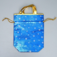 Пакет-мешок из нетканного материала &laquo;Новогодняя компания&raquo;, 25 х 32 см, Новый год