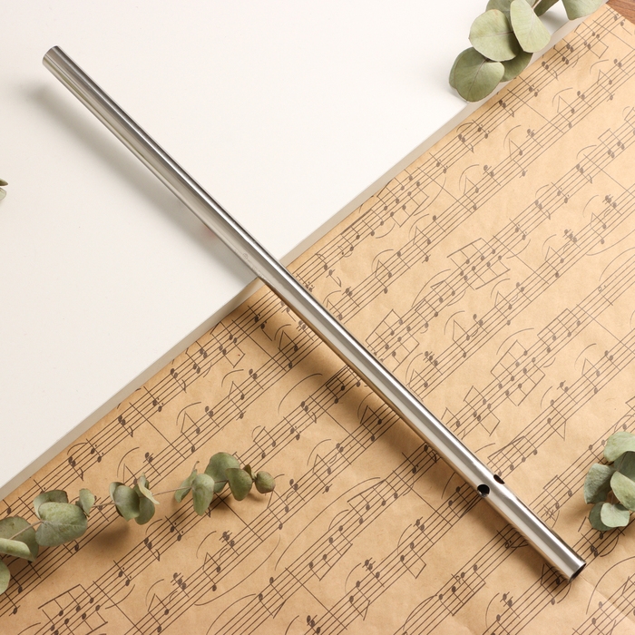 Флейта Music Life 304, 46 см, нержавеющая сталь, тональность F