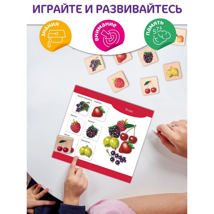 Лото деревянное &laquo;Овощи и фрукты&raquo;