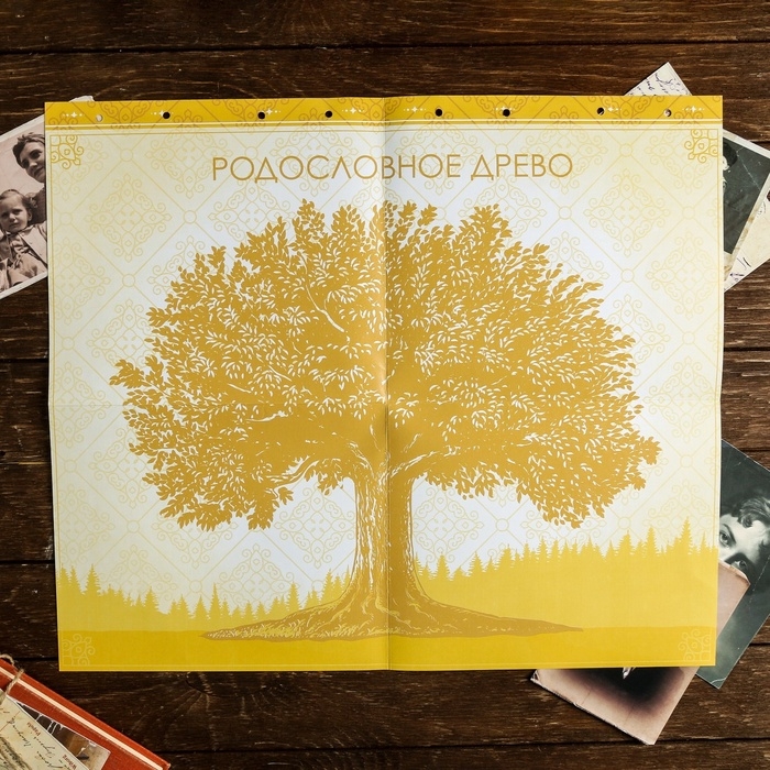 Родословная книга &laquo;Книга нашей семьи&raquo;, 84 страницы, 24,5 х 23 х 4 см.