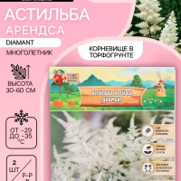 Астильба Арендса Diamant многолетник, корневище в торфогрунте, р-р II, 2 шт.