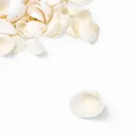 Набор ракушек декоративных 1,5-3 см, 100  г