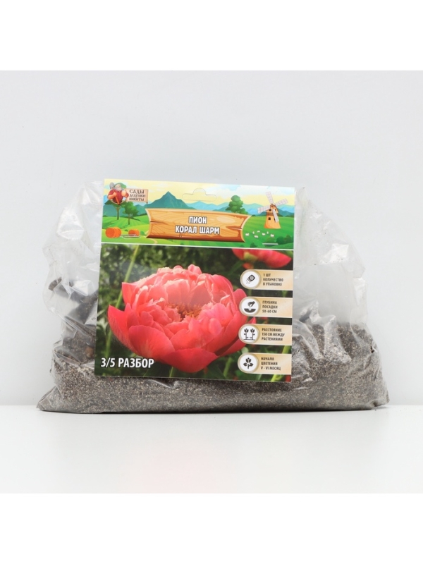 Пион Coral Charm, корневище в пакете с торфогрунтом, р-р 3/5, 1 шт.