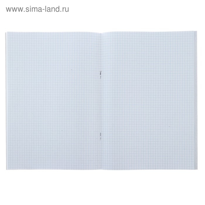 Тетрадь А4, 48 листов в клетку "Город", обложка мелованный картон, блок №2, белизна 75%, (серые листы)